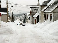 winter.jpg