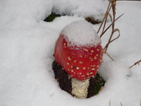 winter2.jpg